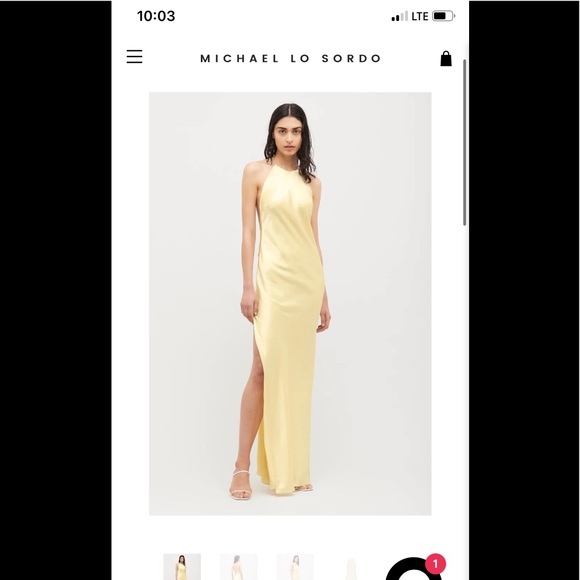 Michael Lo Sordo Hudson Bias Crystalline Maxi Dress - Picture 2 of 5